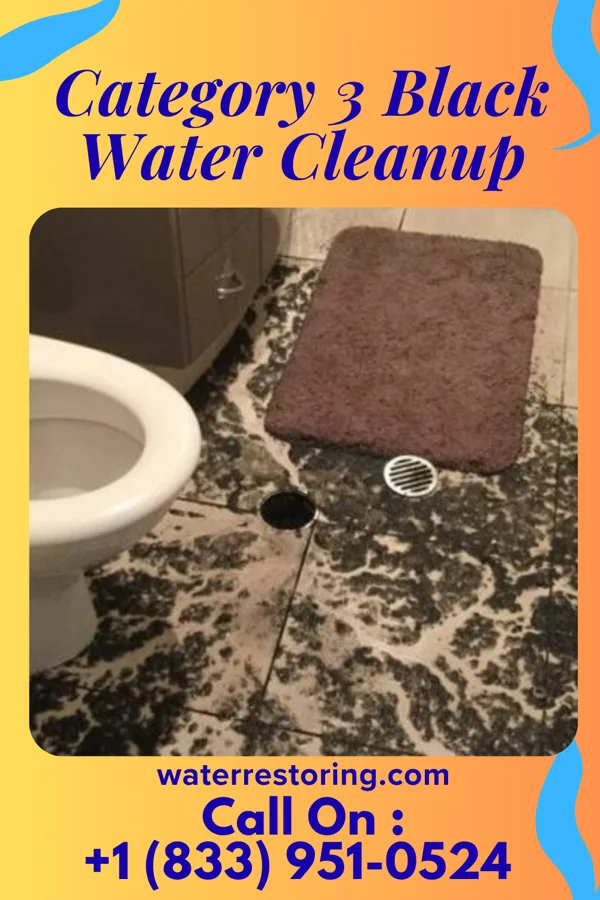 Category 3 Black Water Cleanup in St. Paul, MO