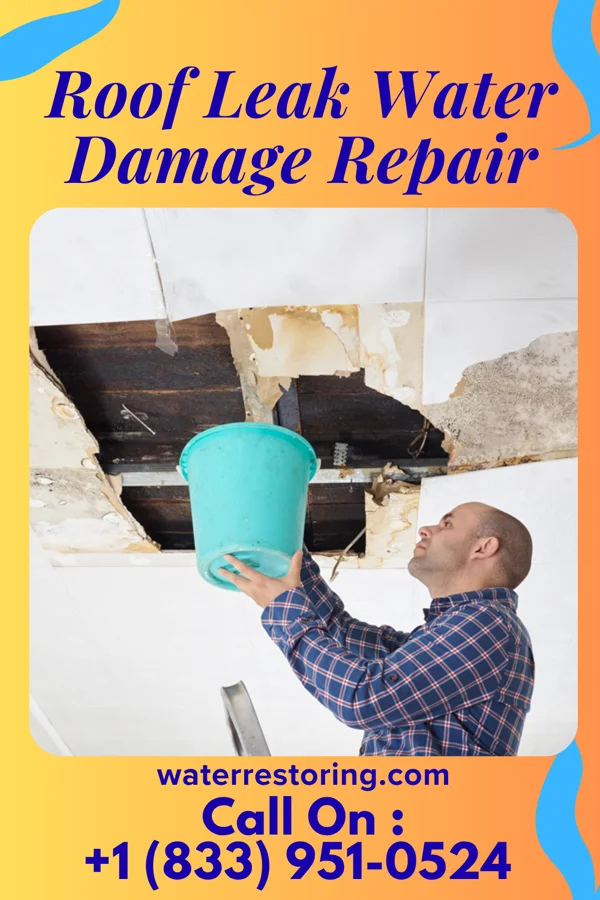 Roof Leak Water Damage Repair in St. Paul, MO