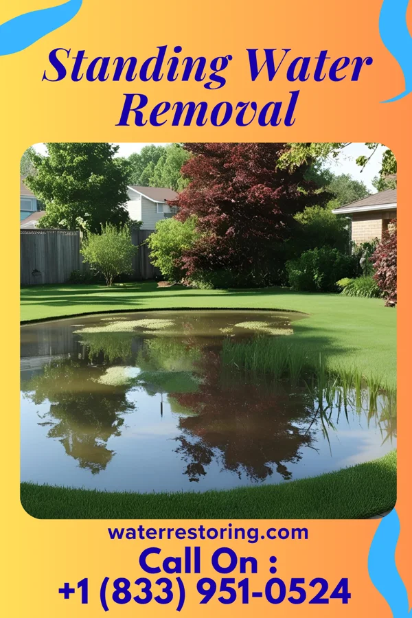 Standing Water Removal in St. Paul, MO